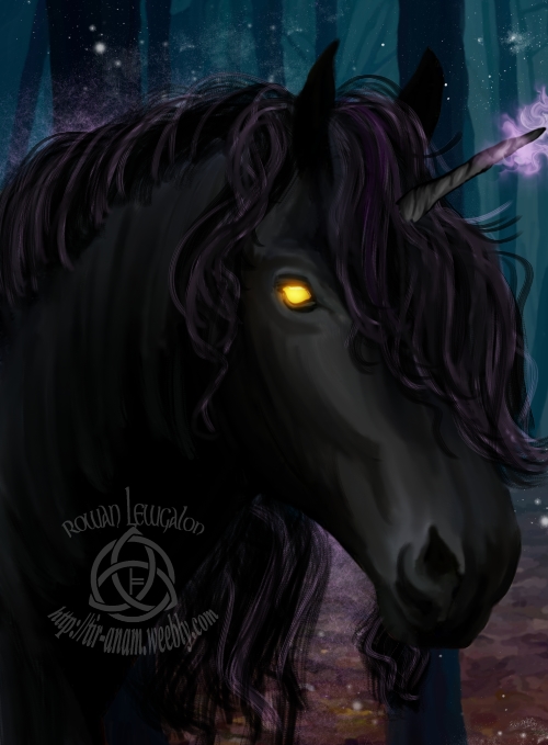 Black Unicorn by Rowan Lewgalon